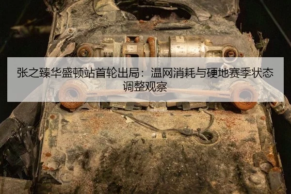 zhang-zhi-zhen-hua-sheng-dun-zhan-shou-lun-chu-ju-wen-wang-xiao-hao-yu-ying-di-sai-ji-zhuang-tai-tiao-zheng-guan-cha-2-464.jpg